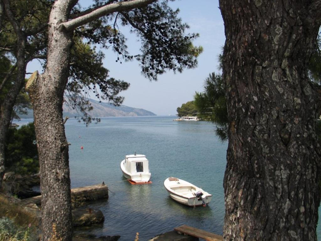 Apartment Falcon Stari Grad  Kamer foto